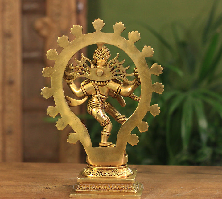 Brass Natraj Superfine 10"