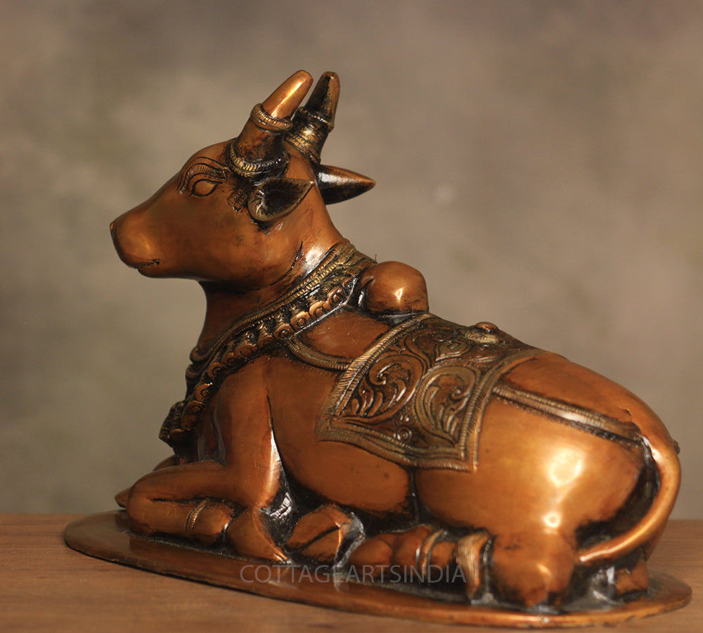 Brass Nandi