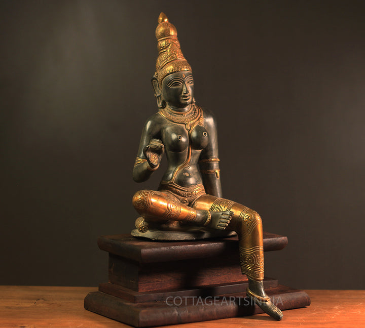 Brass Parvati 18” Rustic Black